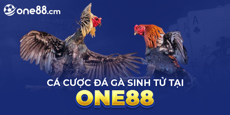 Vài thông tin về tựa game đá gà trên One88