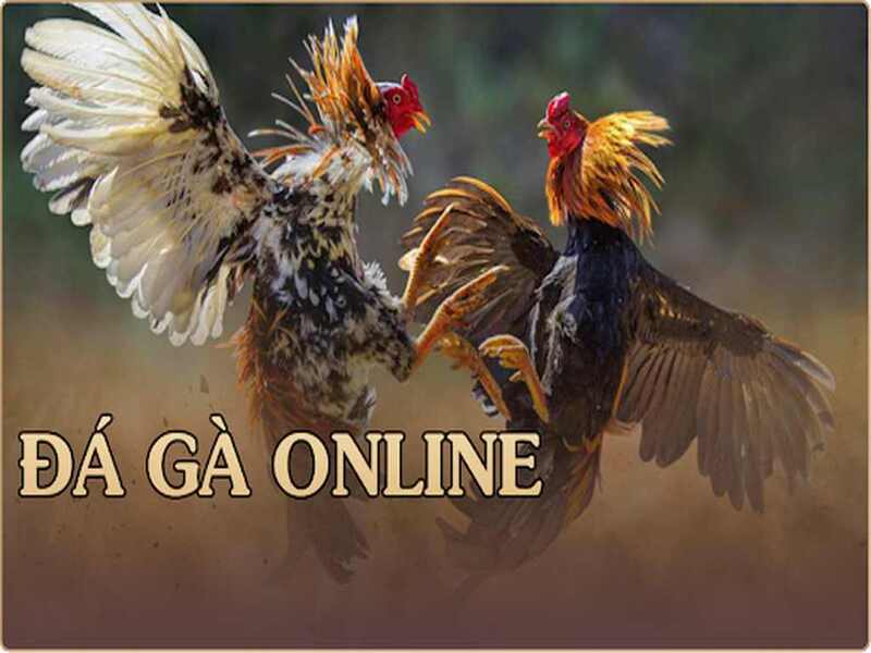 Đánh giá ưu và nhược điểm của đá gà online